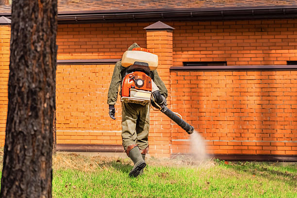 Bed Bug Clearance Verification and Documentation in Pekin